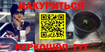 стафф Рузаевка