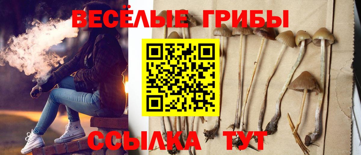 Галлюциногенные грибы прущие грибы Электросталь