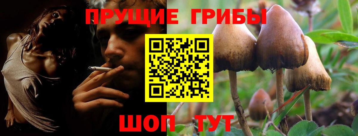 Электросталь  где можно купить наркотик  Вход с VPN  Псилоцибиновые грибы мицелий 
